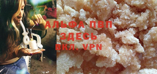 ГАЛЛЮЦИНОГЕННЫЕ ГРИБЫ Белокуриха