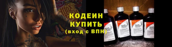 ГАЛЛЮЦИНОГЕННЫЕ ГРИБЫ Белокуриха