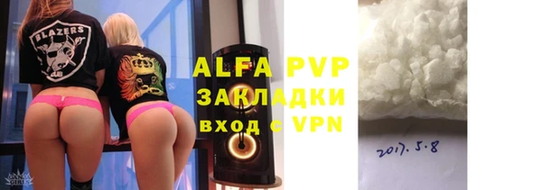 ГАЛЛЮЦИНОГЕННЫЕ ГРИБЫ Белокуриха