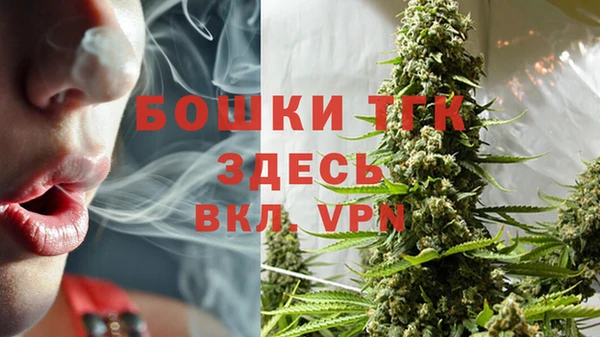 молекула духа Белоозёрский