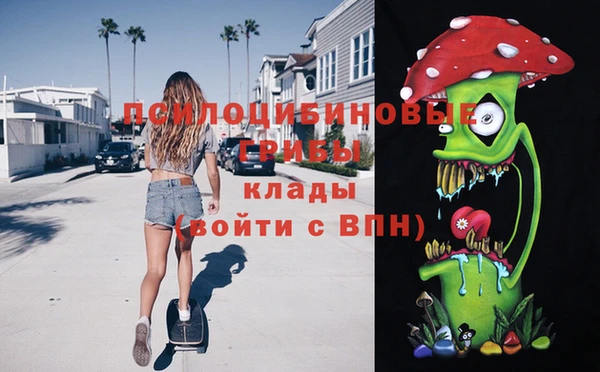 молекула духа Белоозёрский