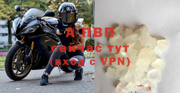 хмурый Коряжма