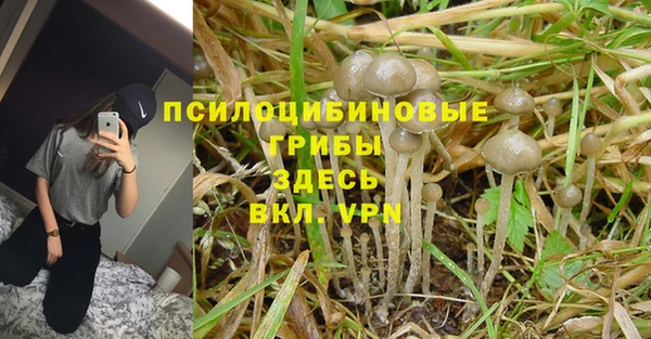 молекула духа Белоозёрский