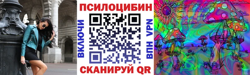 Псилоцибиновые грибы Psilocybe  Бутурлиновка 