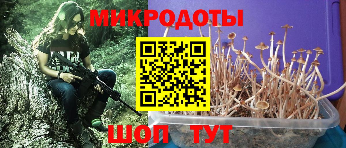 где продают   Галлюциногенные грибы мицелий  Вход с VPN  Бутурлиновка 